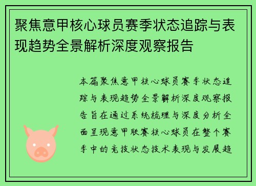 聚焦意甲核心球员赛季状态追踪与表现趋势全景解析深度观察报告